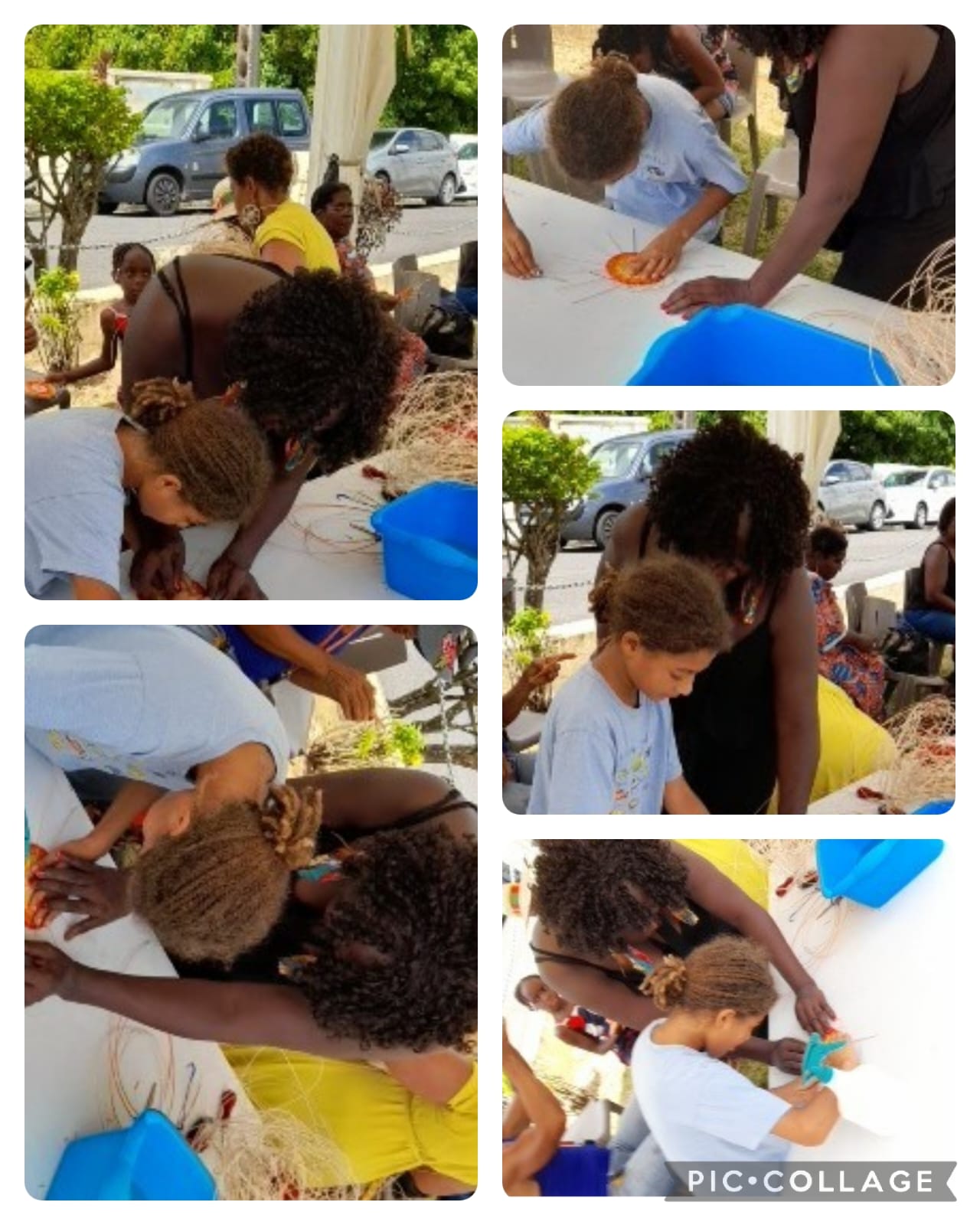 Adhesion A L’association Fibres & Actions